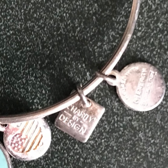 Alex and Ani Expandable Wire Bracelet Pathway Home Sanctuary The way Home 2015 - Picture 10 of 16